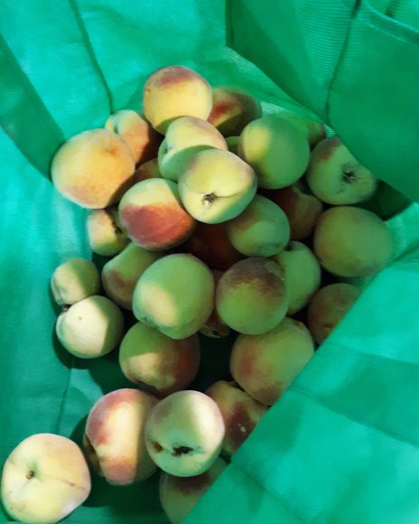 peaches
