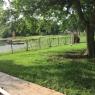 54 backyard
