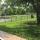 54 backyard