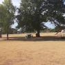13 park