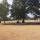 13 park