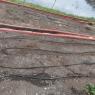 05 garden planted