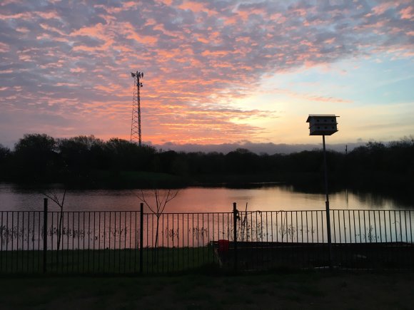 11 sunset