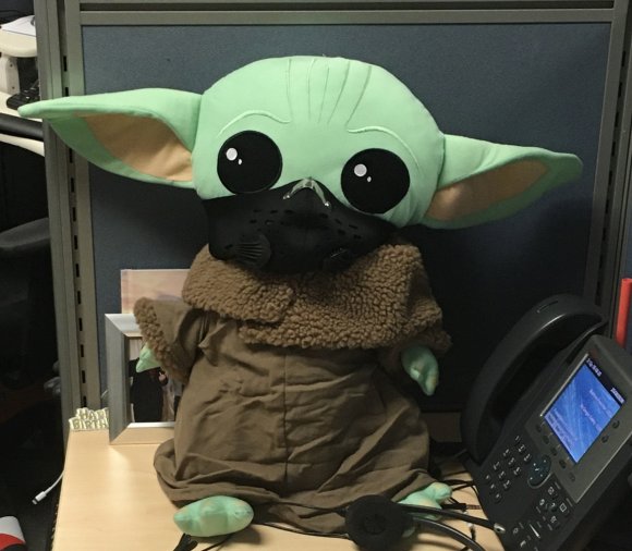 24 yoda safe at work
