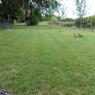 34 grass