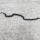 59 snake