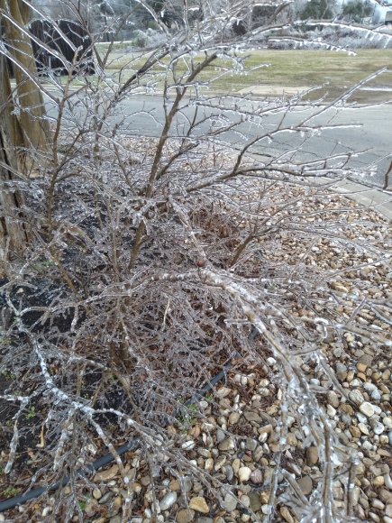Ice 2