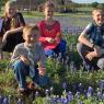 04 bluebonnets