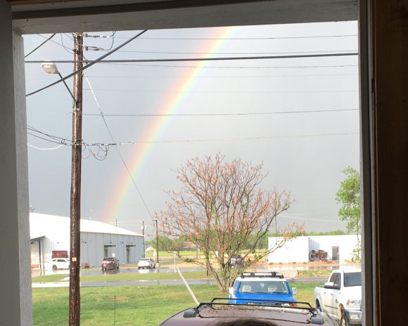 29 rainbow