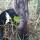 27 its alive grape