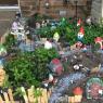 29 gnome garden
