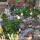 29 gnome garden