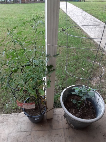 50 garden