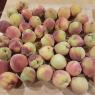 58 peaches