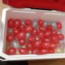 62 water balloon
