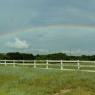 77 rainbow