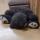 tired