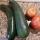 50 veggies