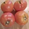 57 tomato