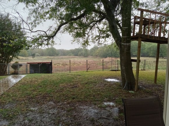 74 rain