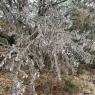 02 winter storm