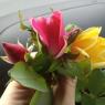 15 rose bouquet