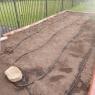 19 garden