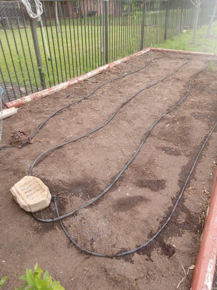 19 garden