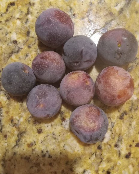 35 plums