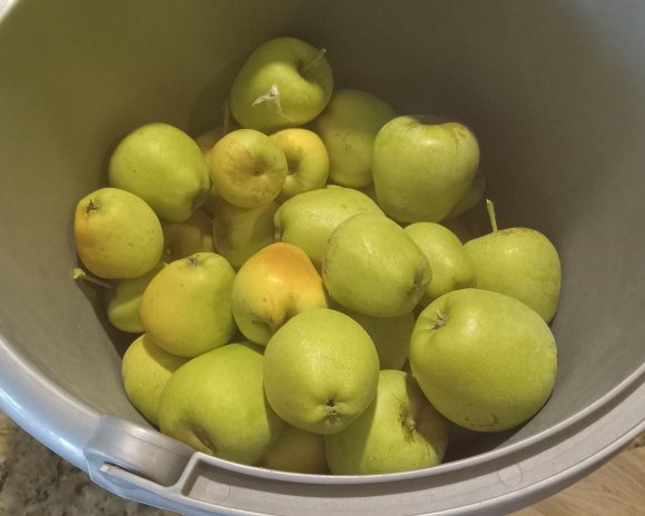 38 apples2