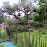 04 windstorm