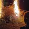 11 bonfire