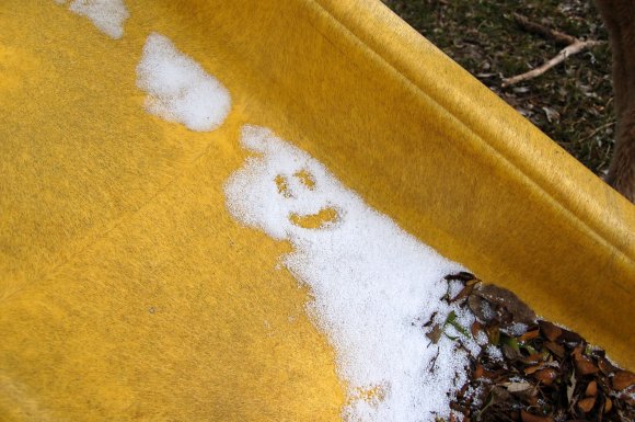 12 this much snow