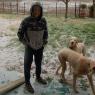 33 snow joel