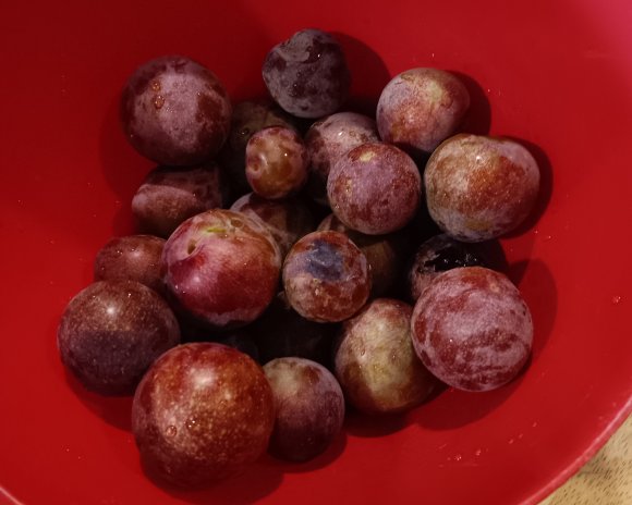 77 plums