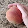 95 peach