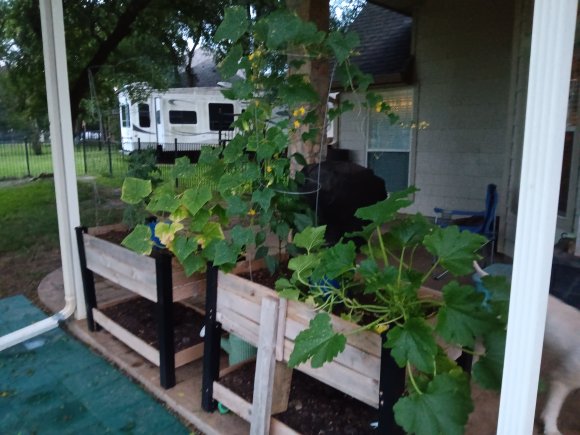 98 mini garden