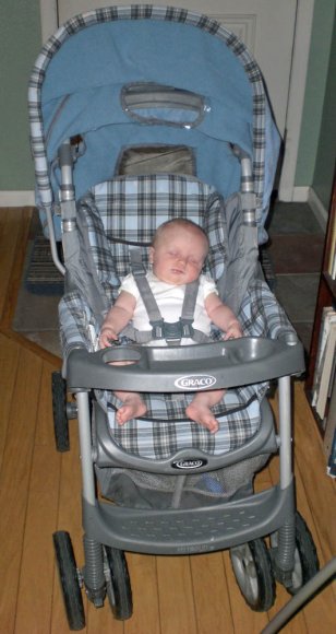19 hannah big girl seat