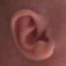 ear