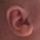 ear