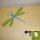 05 dragonfly