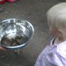 37 crawfish hannah
