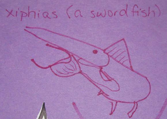 03 swordfish