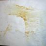 11 invisible lemon ink