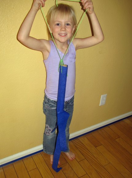 20 hannah wind sock