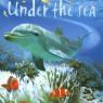 under the sea