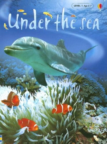 under the sea
