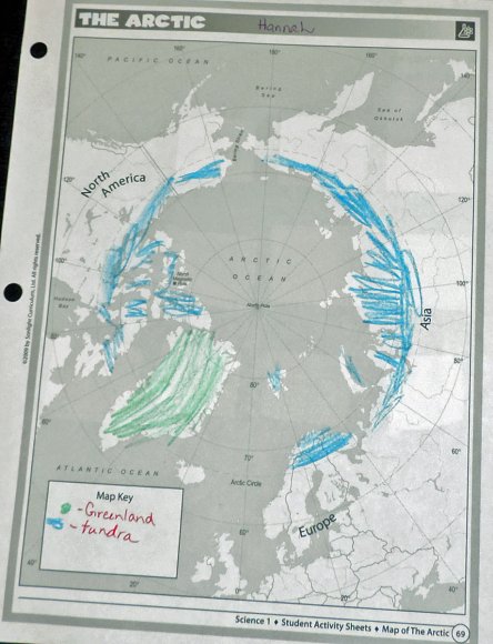 08 artic