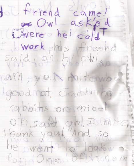 19 owl2