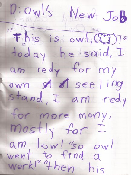 19 owl